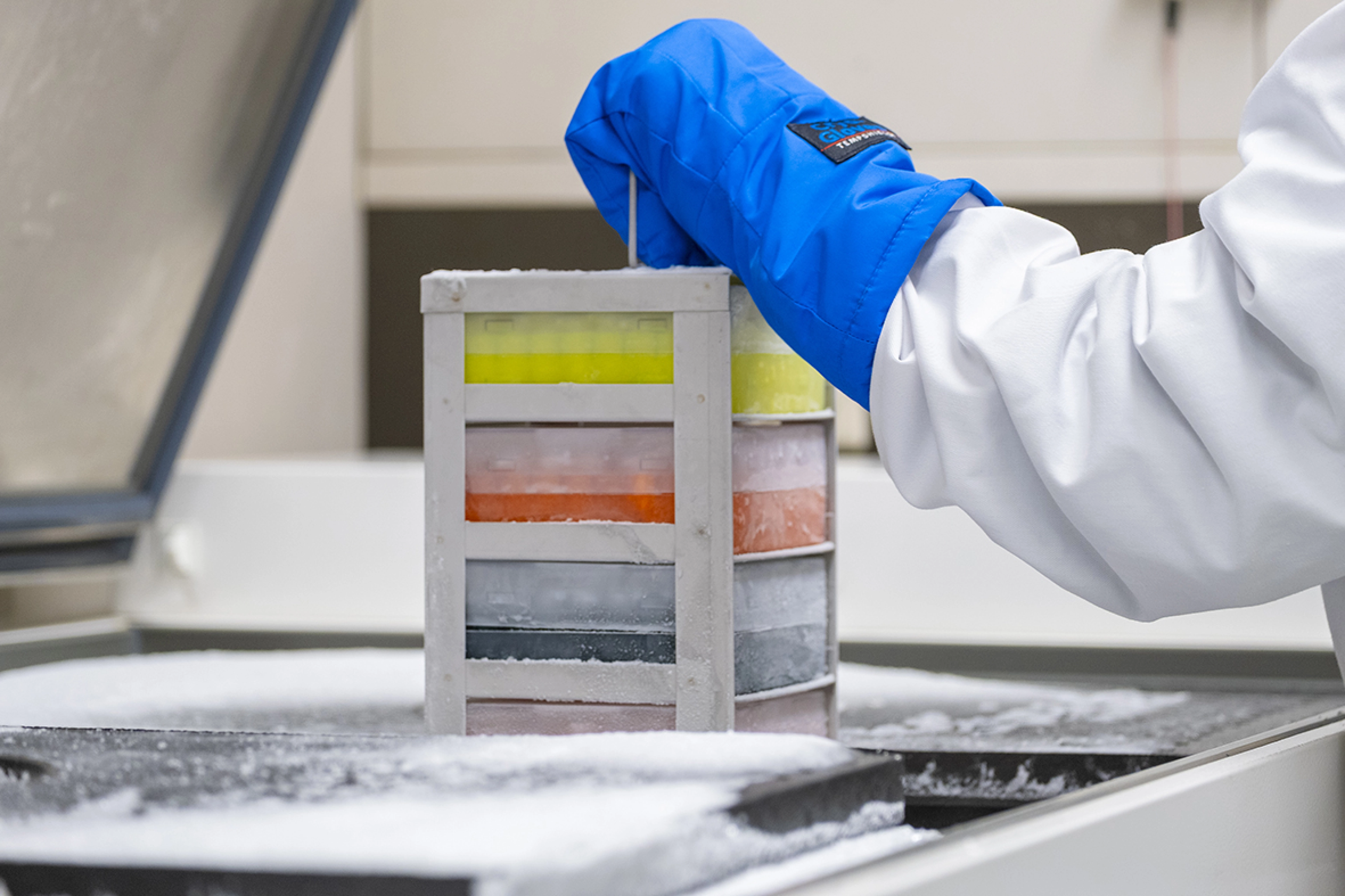 Hand in blue glove, taking colorful plates from a freezer.