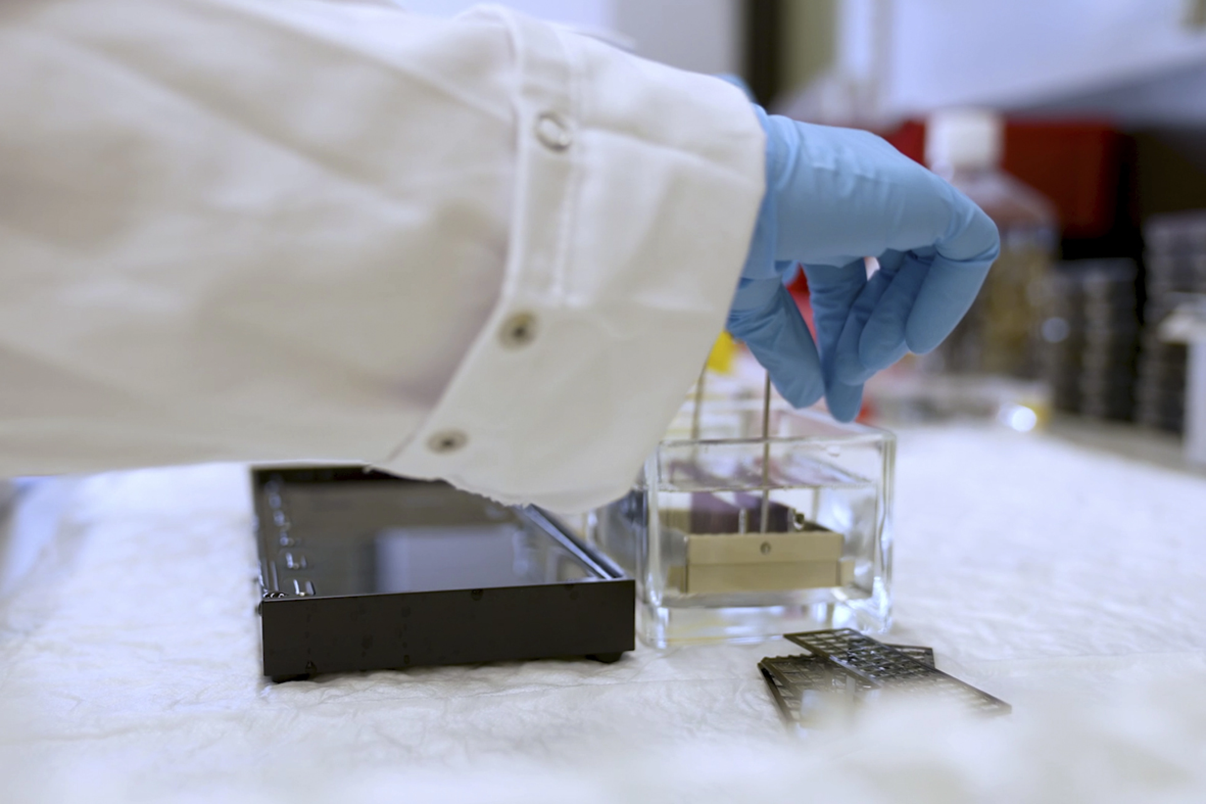 Close-up of hand in blue glove and arm in white coat working in a laboratory.