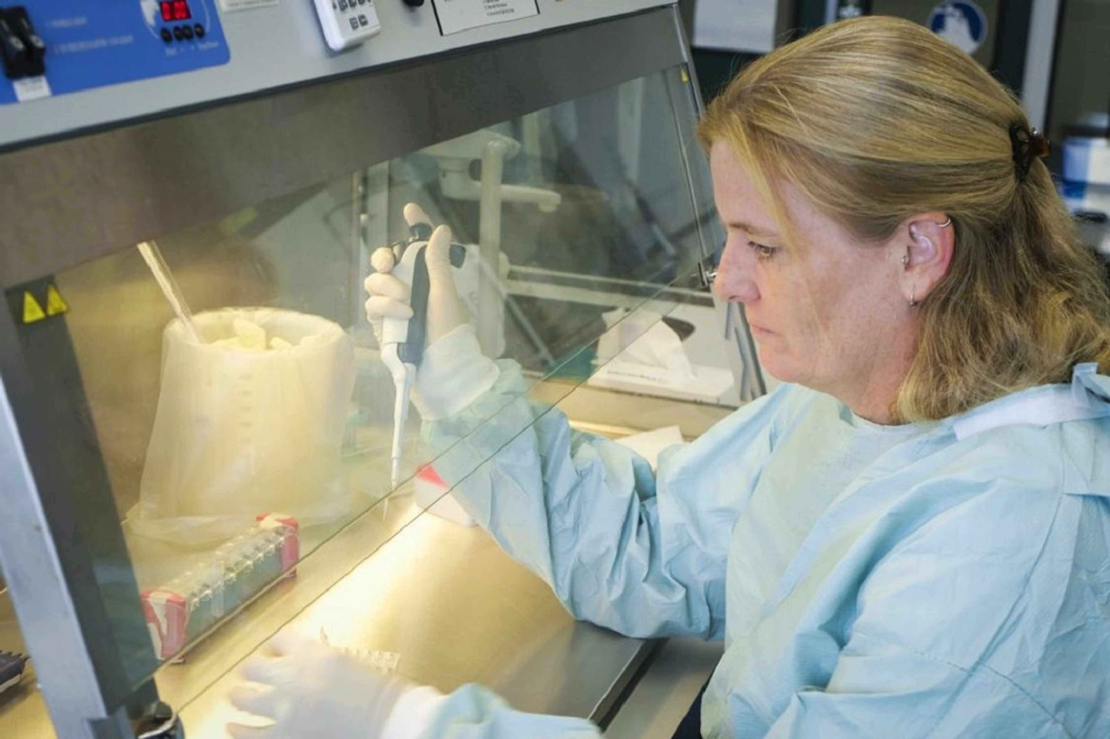 Close-up of a woman with a gloved hand using a multichannel pipette to transfer liquid into a plate, with racks of tubes and lab equipment visible on the bench.