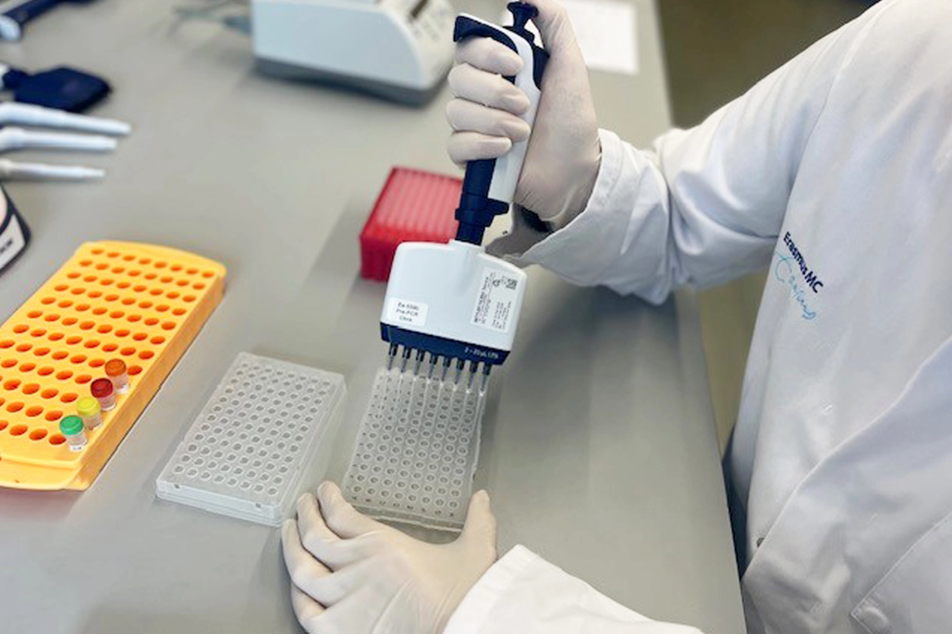 Close-up of a gloved hand using a multichannel pipette to transfer liquid into a 96-well plate, with racks of tubes and lab equipment visible on the bench.
