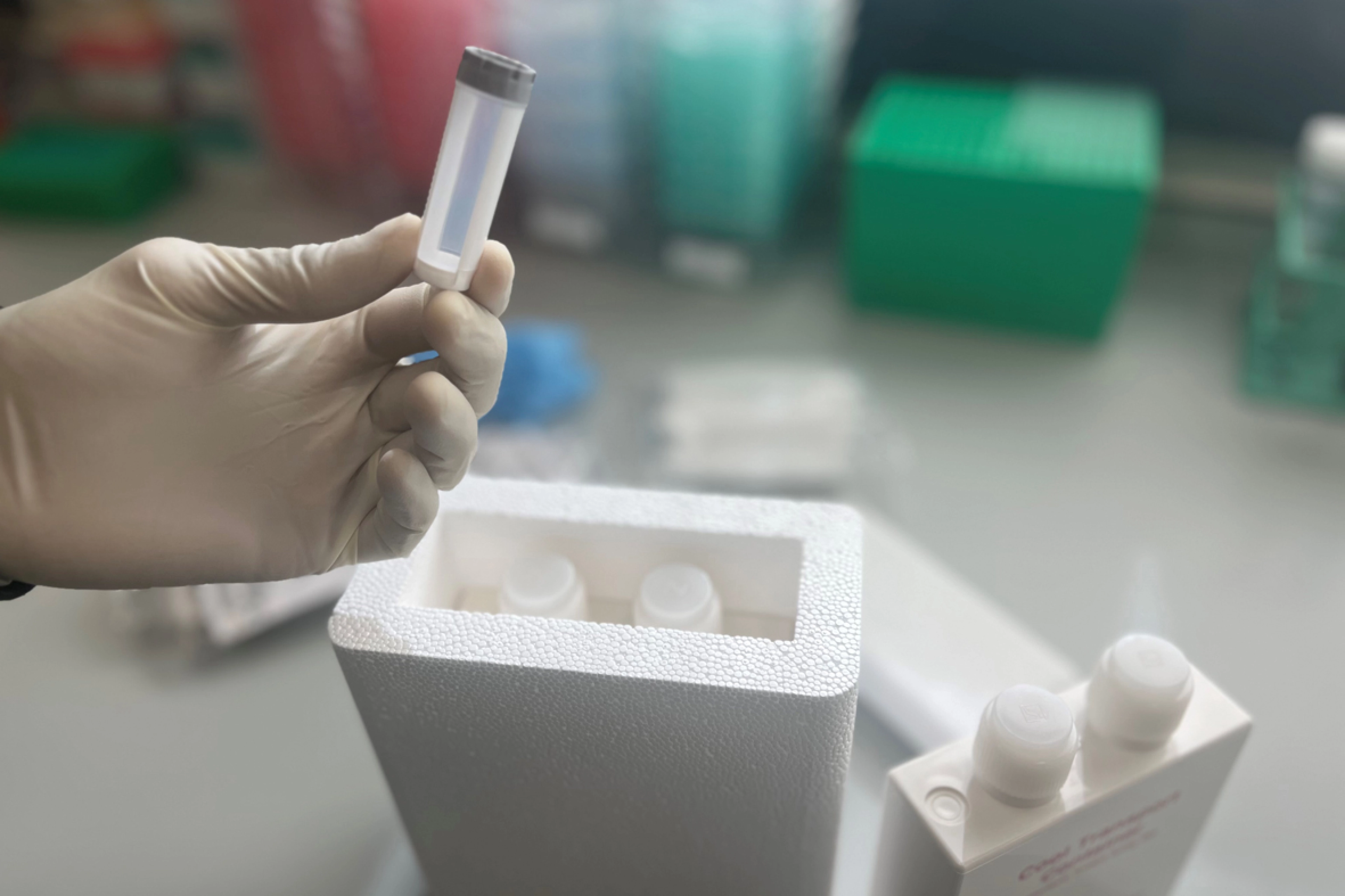 Close-up of a hand with white glove holding a tube from a stool collection kit.